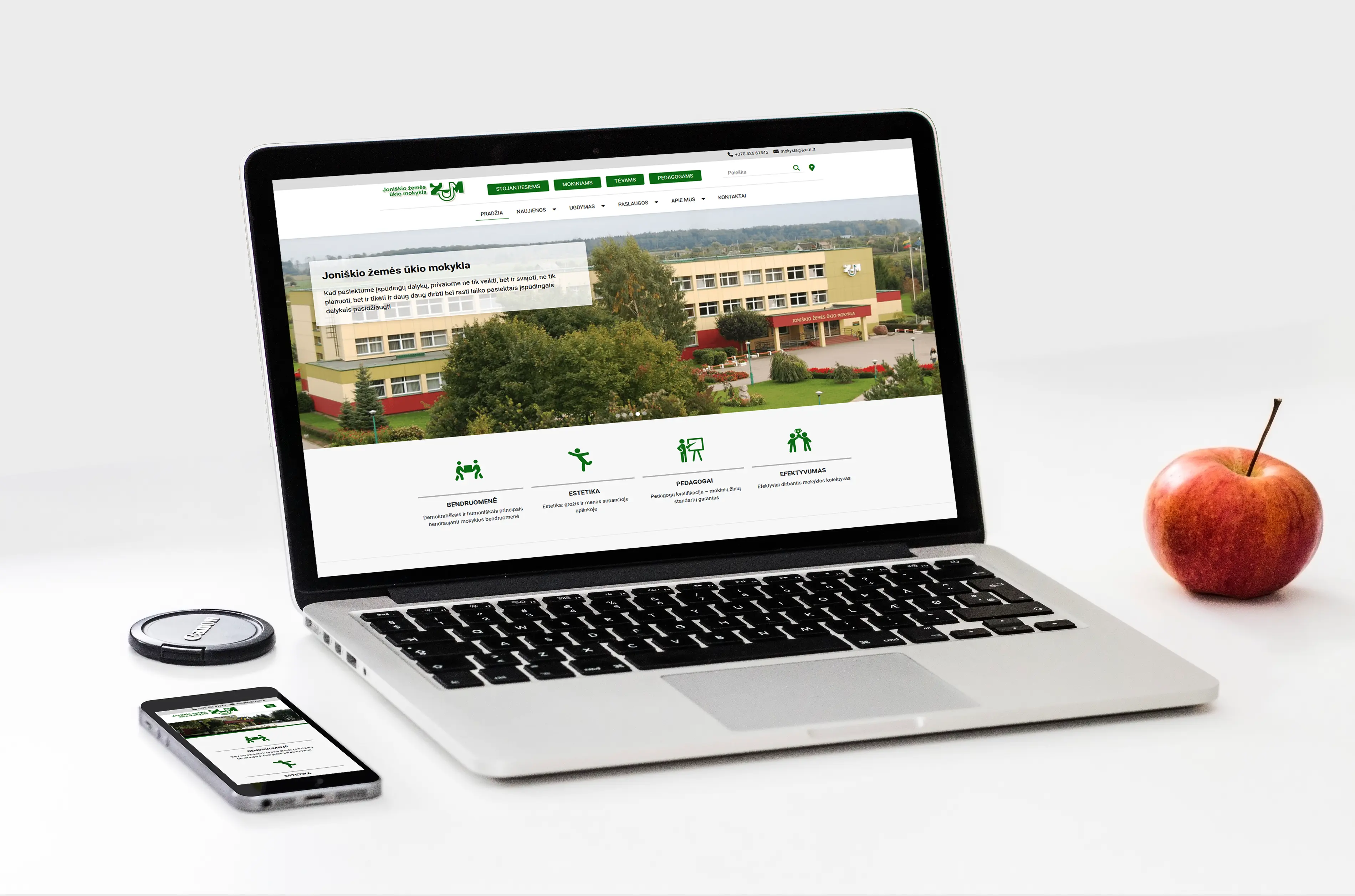 Graphic design, website design, wordpress theme, wordpress, Monidesign
